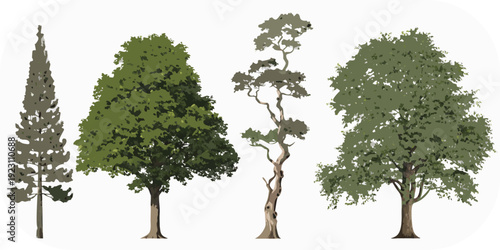 Four diverse green trees with detailed foliage and textured bark on a white background Keywords