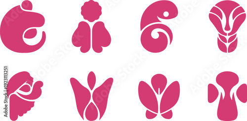 Set of eight stylized anatomical organ icons featuring kidneys lungs liver heart and pancreas designs