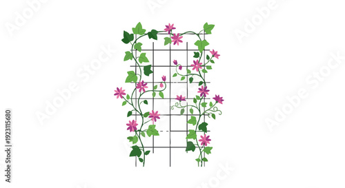 Vector illustration of a white garden trellis with climbing ivy vines and pink flowers on a black background.