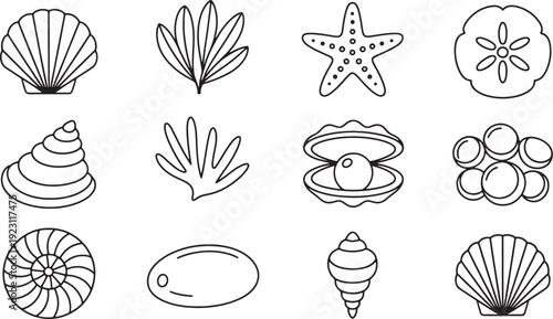 Collection of Black Outline Sea Life and Shells on White Background seashell starfish