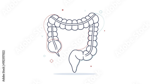 Medical illustration featuring a detailed line art drawing of the human large intestine with colon anatomy on a clean white background.