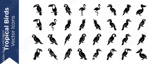 Set of 32 Tropical Bird Silhouette Icons Featuring Toucans, Flamingos, Parrots, Cockatoos, Hornbills, and Pelicans. Flat Vector Design for Infographics, Nature Projects, and Wildlife Branding.