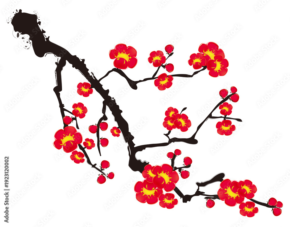 Obraz premium Red Plum Blossom Branch Texture with Flowers Isolated