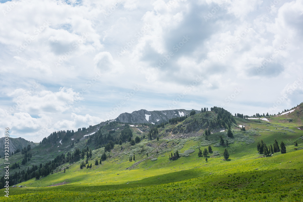 Obraz premium Green grassy meadow against stone hill with coniferous trees and high rock mountain range under cloudy sky. Big sharp rocky ridge with sheer crags. Sunlight and shadows of clouds in changeable weather