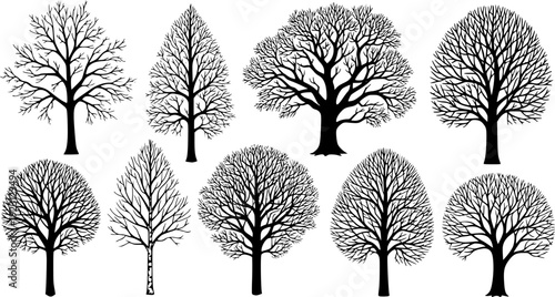 .Winter trees silhouettes collection. Set of isolated vector design elements.. Hand drawn illustration in sketch style. Nature template. Clipart.
