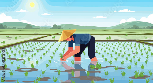 Farmer Tending to Young Rice Plants 1.