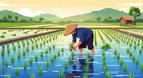 Farmer Working in Rice Paddy Field 7.