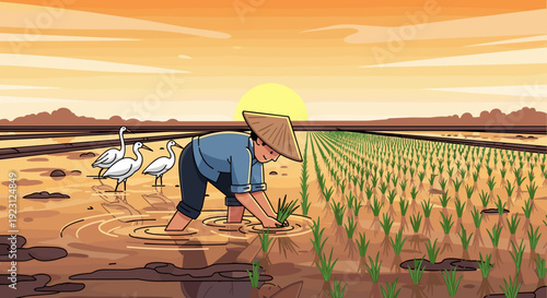 Farmer Working in Rice Paddy Field 13.