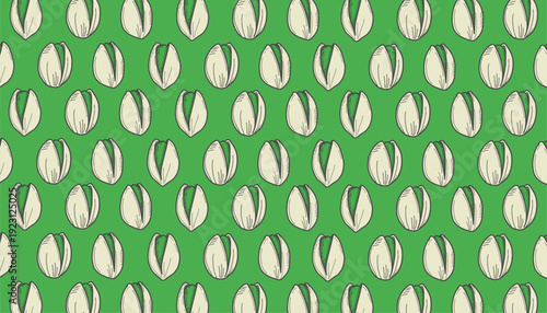Pistachio Nut Seamless Pattern. Hand Drawn Pistachio Doodle  for Packaging Design. Pistachio Doodle Pattern. Sketch Vector Background