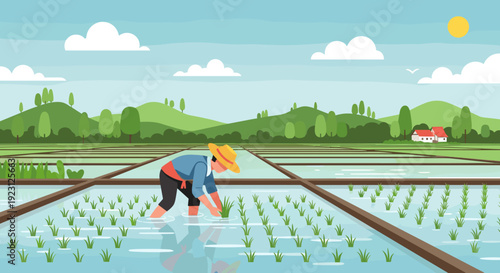 Farmer Working in Rice Paddy Field 38.