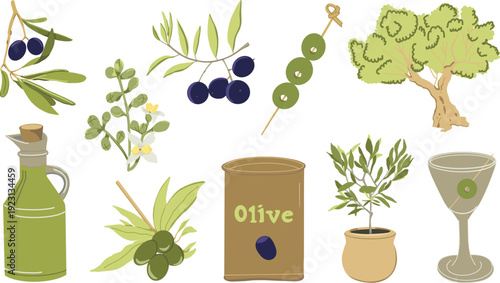 Olives set vector illustration Hand-drawn colorful collection  Olives branches Olive tree cocktail with olives Olives can Bottle with olive oil