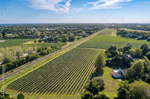 Aerial View of a Vineyard in the Hamptons on a summer day.
