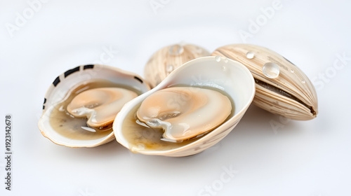 Three raw littleneck clams, one shucked with glistening flesh and briny liquor, water droplets, two unopened on transparent background, studio lighting, extreme close-up pristine freshness and