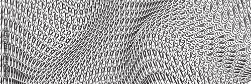 Black snake skin pattern isolated on white background eps 10