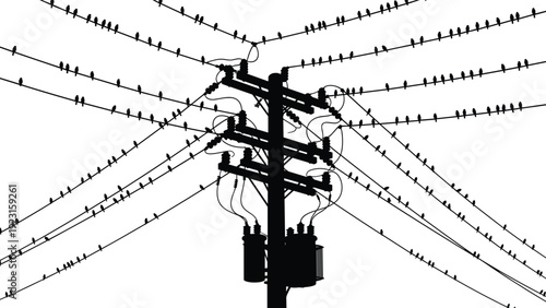 Black silhouette of electric power utility pole with transformer, intersecting overhead wires and birds, minimal vector illustration, energy infrastructure concept