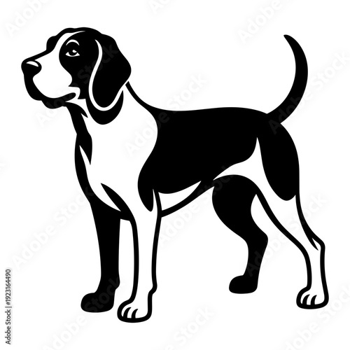Treeing Walker Coonhound Dog