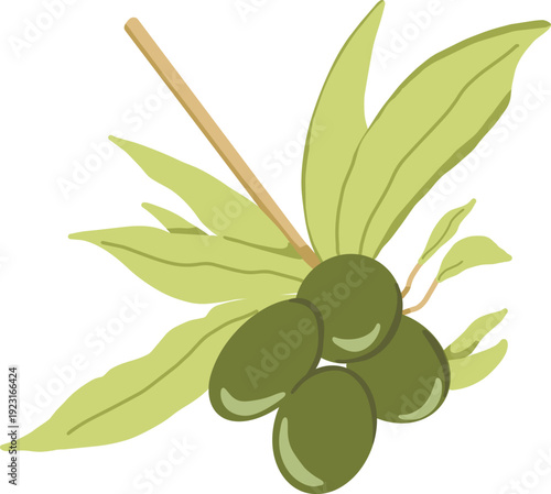 Olive branch with green Olives hand-drawn vector illustration Botanical colorful 