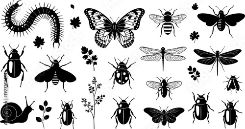Insect Silhouette Collection Featuring Butterflies Bees Beetles Dragonflies and Garden Bugs for Nature Education, Biological Study, and Decorative Design Elements