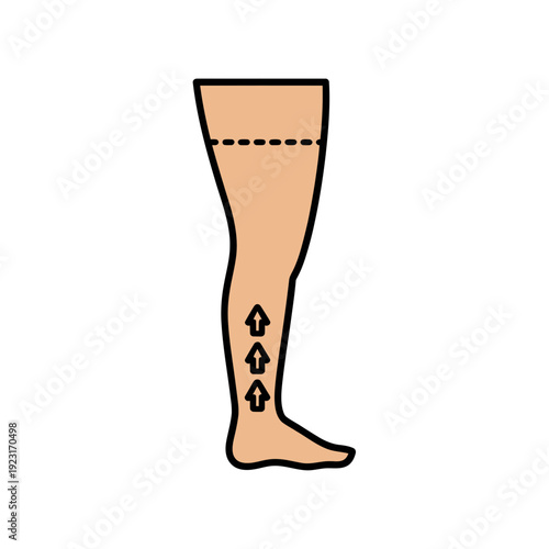 A medical illustration of a human leg with compression stockings concept