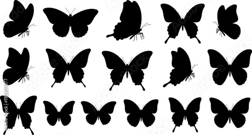 Butterfly Silhouette Collection with Various Wing Shapes for Nature Design, Wildlife Illustration, Decorative Elements, and Entomology Education Projects