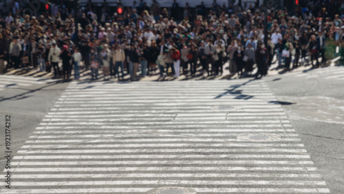 Bild auf Leinwand Shibuya Scramble Crossing, Tokyo, crowd of pedestrians and tourists walking on p