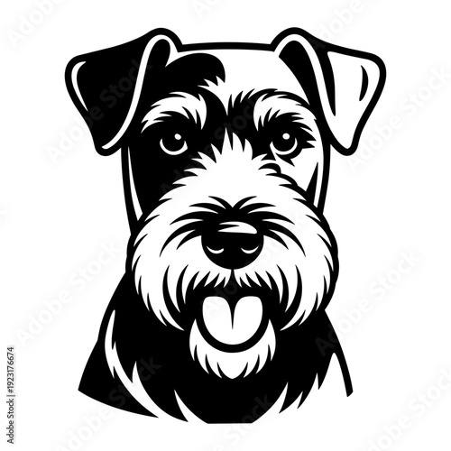 Lakeland Terrier Dog