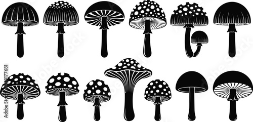 Mega collection of black mushroom silhouettes featuring various toadstool styles agaric fungi and wild forest mushrooms for nature woodland and botanical graphic design elements.