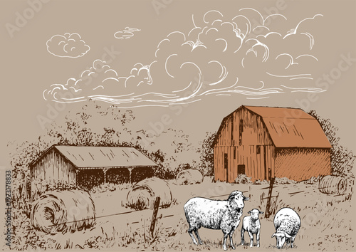 Panorama of a rural landscape with sheep. Pen sketch converted to vector.