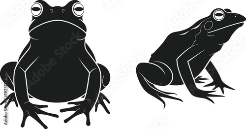 Frog silhouette vector illustration, amphibian animal design, black and white frog art, wildlife nature concept, detailed frog drawing, minimalist graphic style