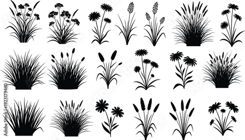Mega collection of black vector silhouettes featuring detailed wild meadow grass tufts field flowers and aquatic reeds for nature landscape and outdoor garden design.