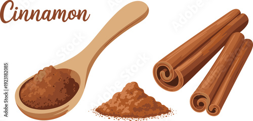 Cinnamon powder in wooden spoon with cinnamon sticks aromatic spice vector illustration isolated on white background