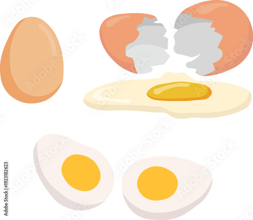 Brown farm fresh chicken eggs collection showing cooking process stages raw broken shell fried egg and boiled egg isolated vector graphic