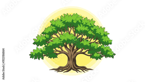 Mature Tree with Green Leaves and Roots.