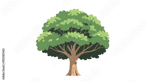 Cartoon illustration of a lush green deciduous tree with a thick canopy and textured bark on a white background