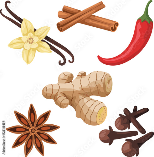 Spice collection set including vanilla, cinnamon, chili pepper, ginger, star anise and cloves isolated vector illustration