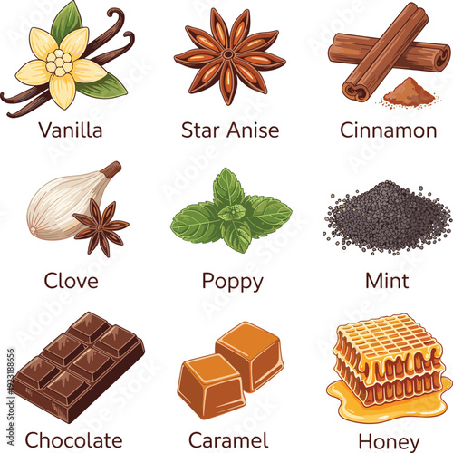Vanilla star anise cinnamon clove mint poppy chocolate caramel and honey collection isolated on white background vector illustration