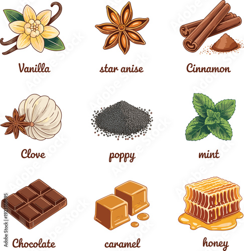Vanilla star anise cinnamon clove poppy mint chocolate caramel and honey icons isolated on white vector illustration