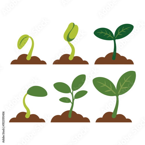 Seedlings grow from the soil in a visual representation of plant development stages.