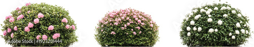 3 topiary bushes with pink and white flowers, in various sizes and shapes, on a transparent background