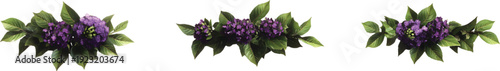 3d realistic style, three views of the same plant with purple flowers and green leaves, on a transparent background