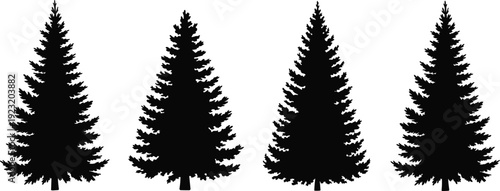 Pine tree silhouette set, evergreen forest conifer isolated black woodland trees for landscape design natural outdoor vector illustration