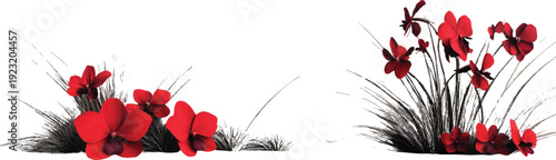 3d render of a red orchid flower and grasses, on a transparent background