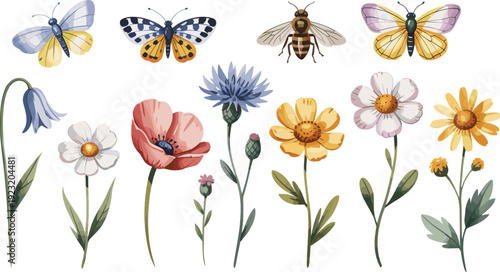 Wildflowers butterflies and bee vector set, colorful botanical garden illustration with blooming meadow flowers insects decorative natural spring collection artwork