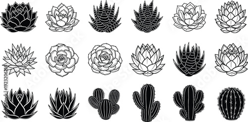 Minimalist black and white succulent and cactus collection featuring desert plants aloe vera and agave botanical vector illustration