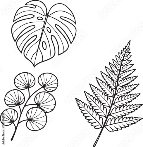 set of black leaves