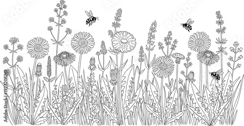 Detailed wildflower field with bees, black and white line drawing vector illustration for nature, pollination, biodiversity, and educational design use