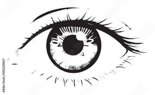 Striking monochromatic illustration of a human eye with detailed eyelashes and iris lines, ideal for graphic design projects, expressive artwork, and bold visual statements.