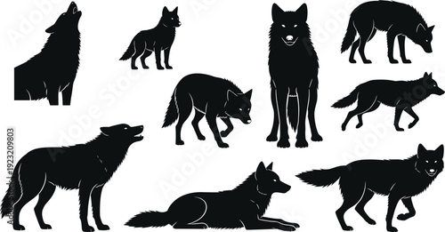 Stylized silhouettes of nine wolves in varied poses, howling, standing, walking, running, bold black wildlife artwork, nature illustration vector