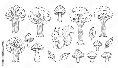Hand drawn outline forest collection with various trees, squirrel, mushrooms, and leaves for kids coloring books, nature themed educational content, or DIY craft projects.