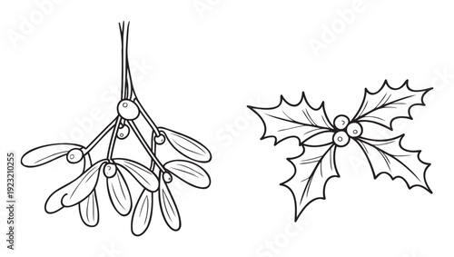 Classic botanical black line drawings of mistletoe and holly with berries, perfect for festive holiday season greeting decorations, winter event invitations, and seasonal graphic accents.
